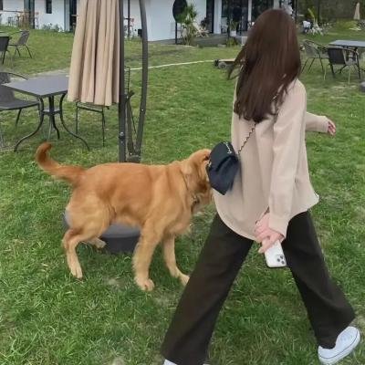 极品老妈第六季