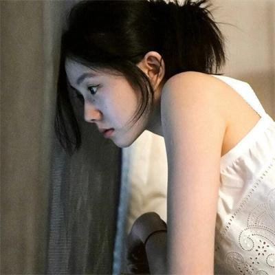 与鲨同泳